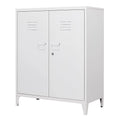 Metal Locker with 2 Doors G29004