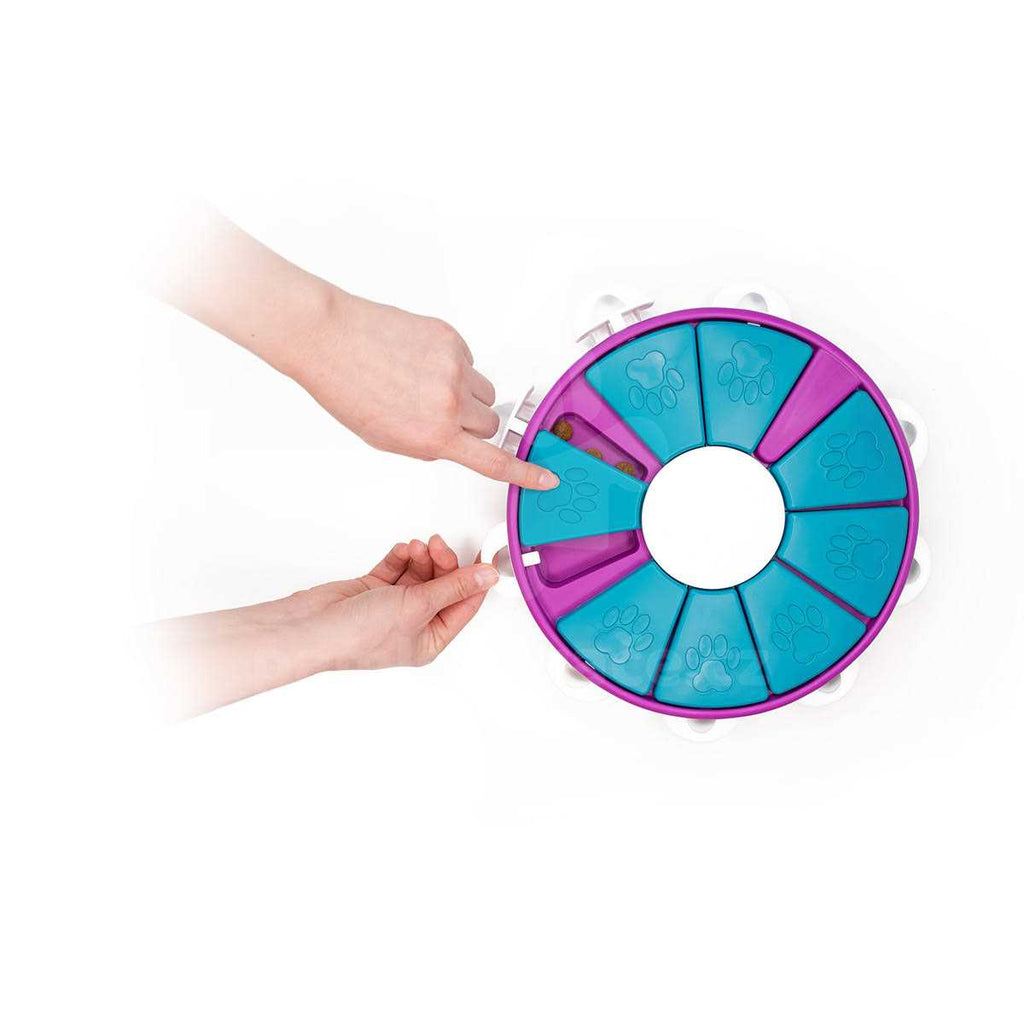 Puzzle Dog Toy R79198