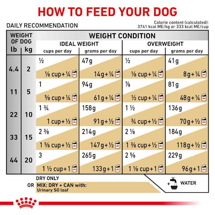Veterinary Diet Canine Urinary So Dry Dog Food Y30593