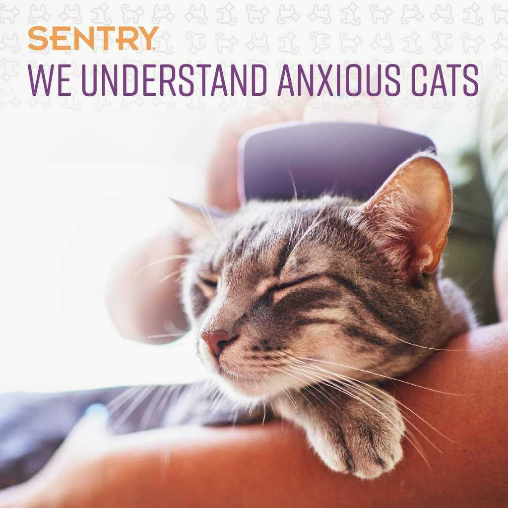 Calming Chews for Cats Y5652