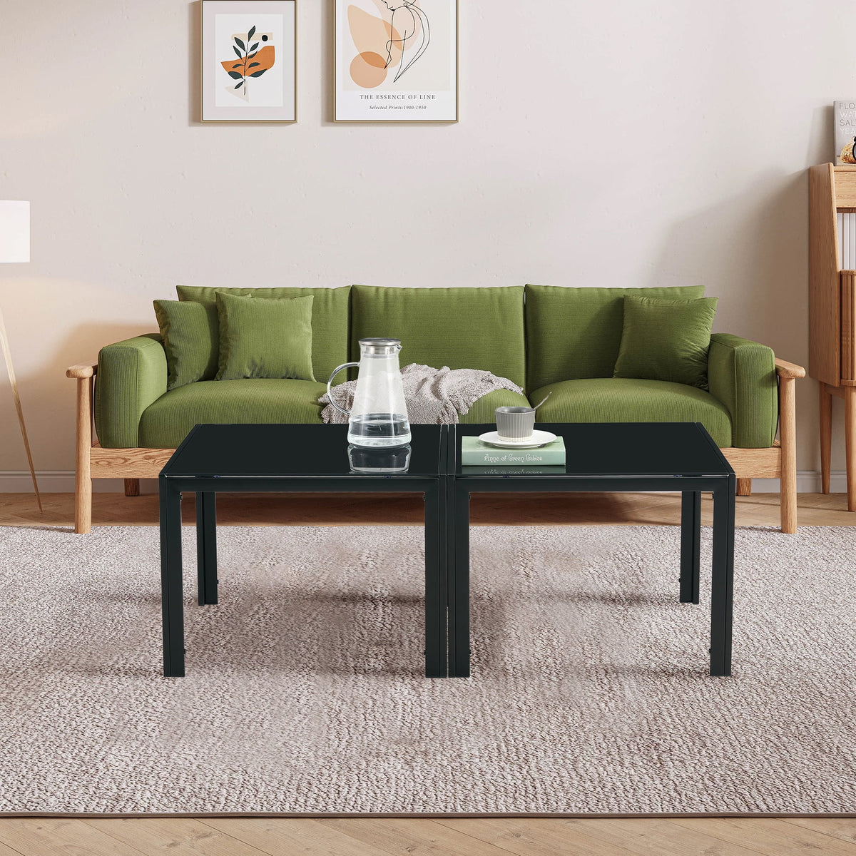 Glass Coffee Table Set of 2 Black S63676