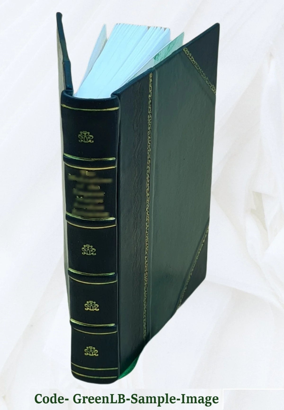 Leather Bound Book X769