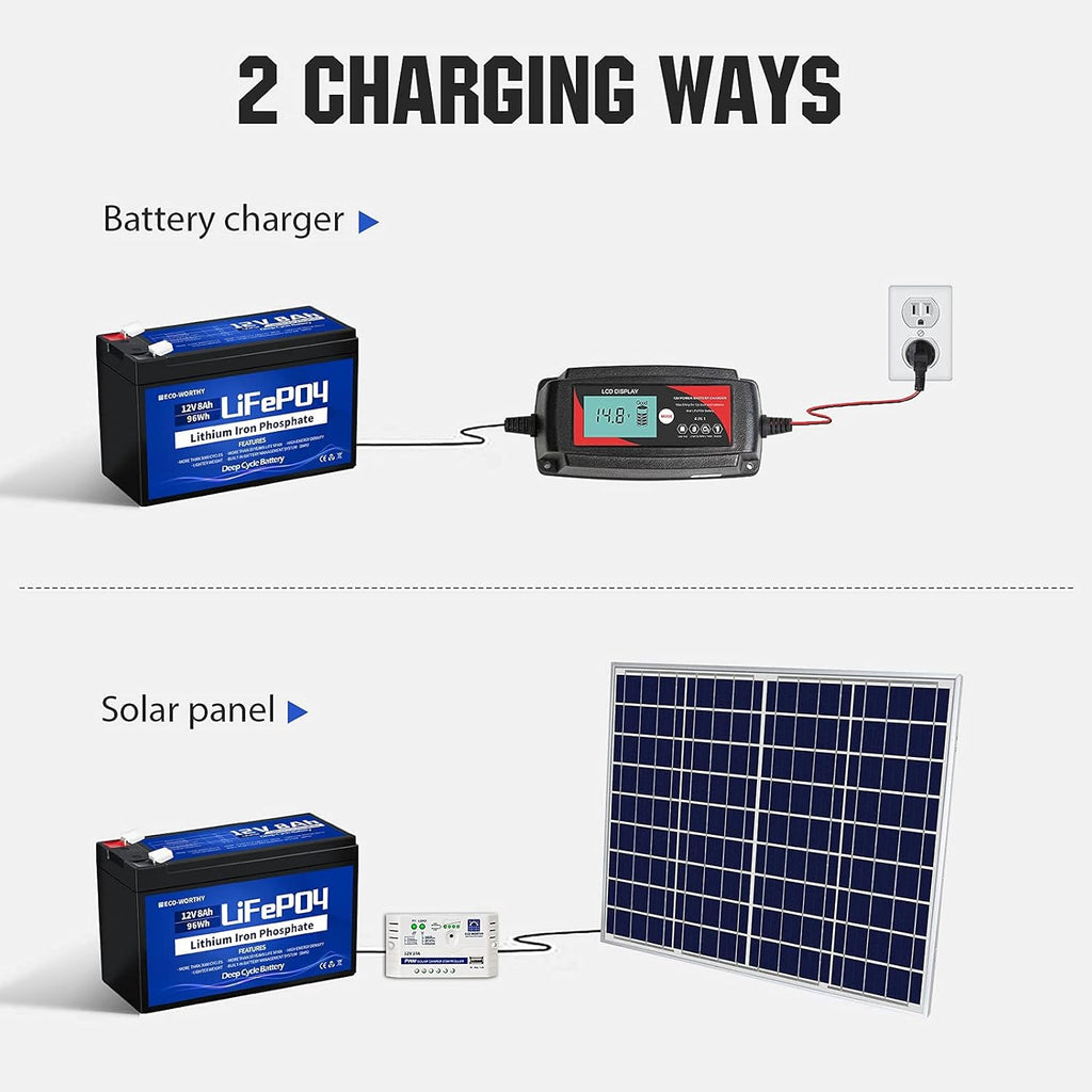 12V 8Ah LiFePO4 Lithium Iron Phosphate Battery Pack of 2 Q231