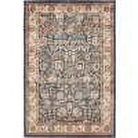 Light Blue Burgundy 4' 1" x 6' 1" Floral Rug R6902