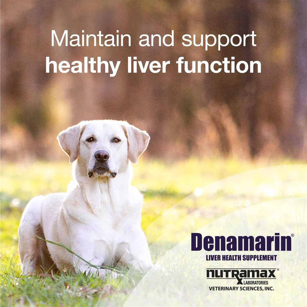 Denamarin for Dogs B93969