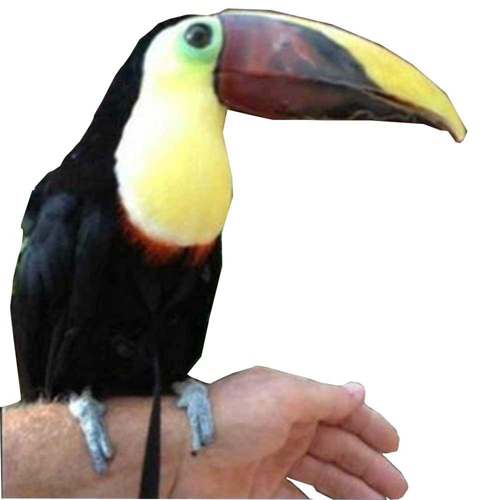 Adjustable Bird Harness and Leash L750060