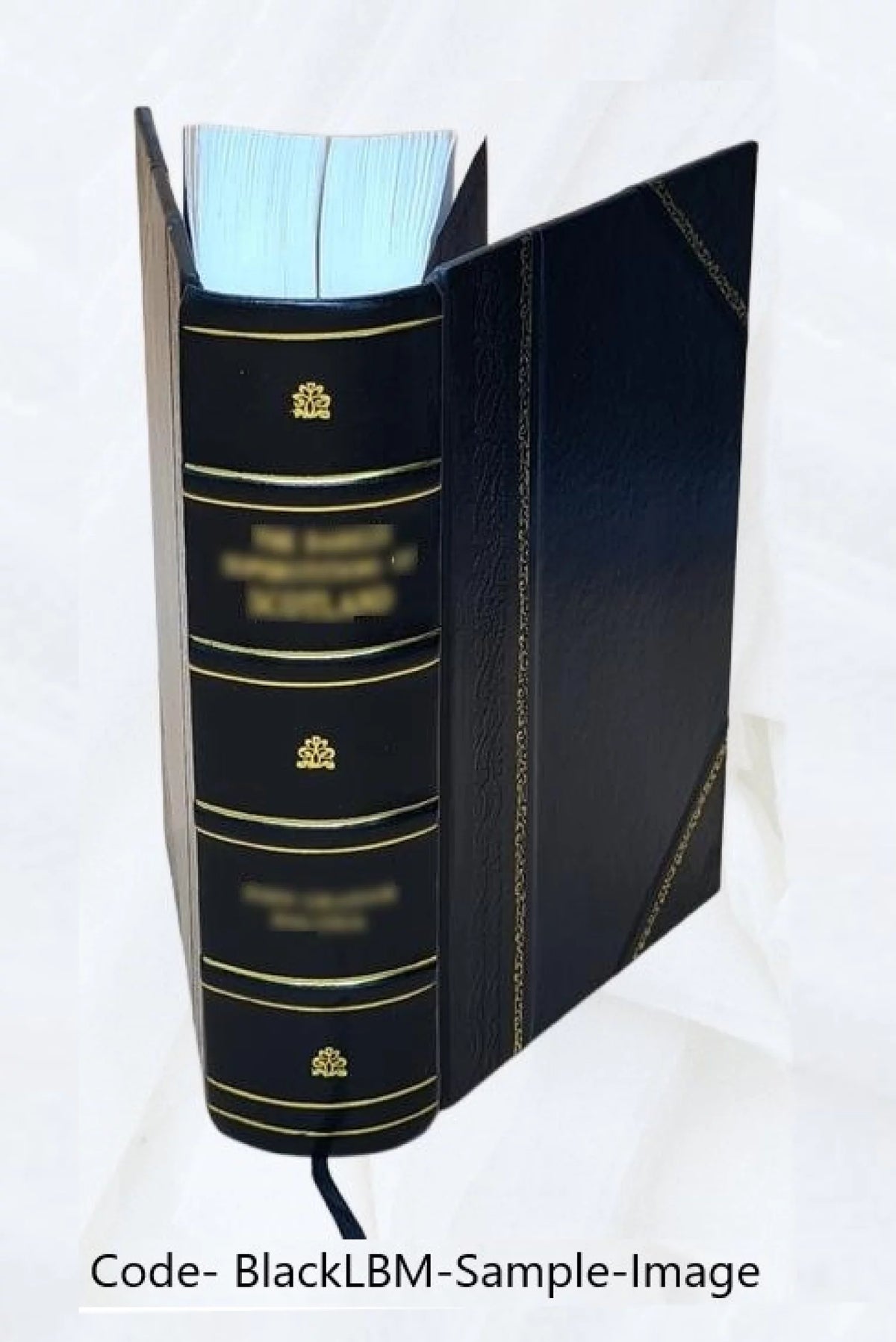 Leather Bound Book Z5596