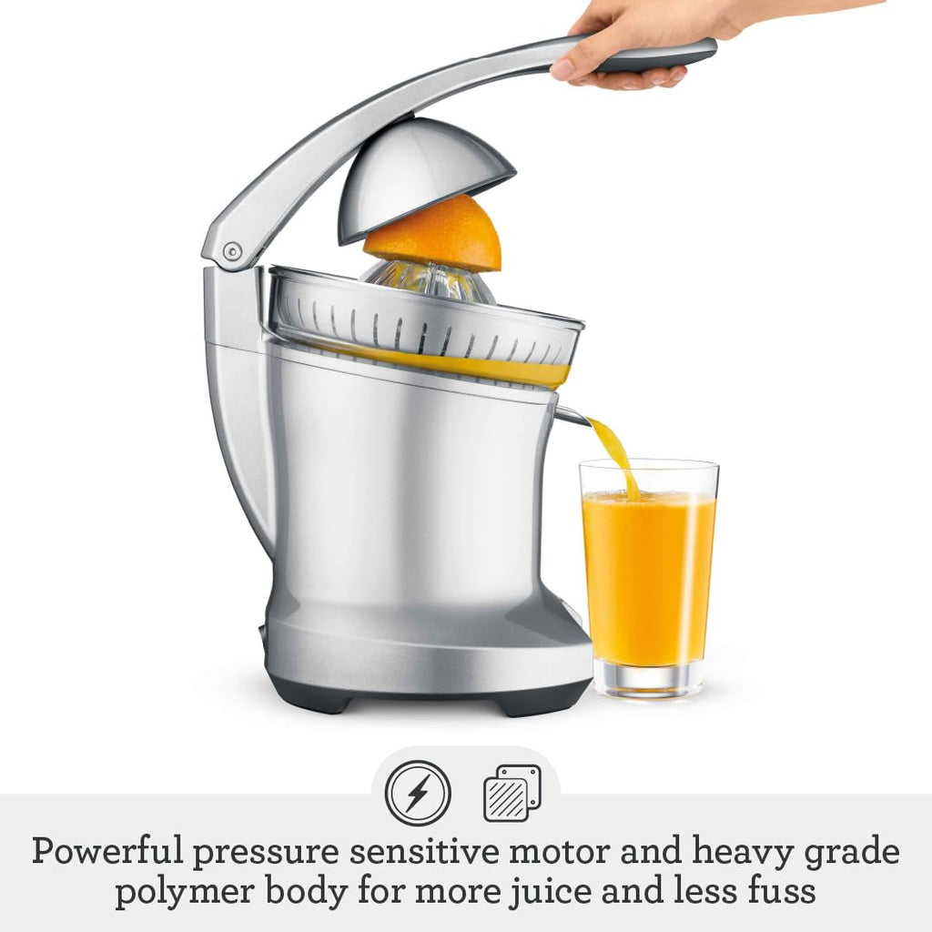 Silver Citrus Press V522371