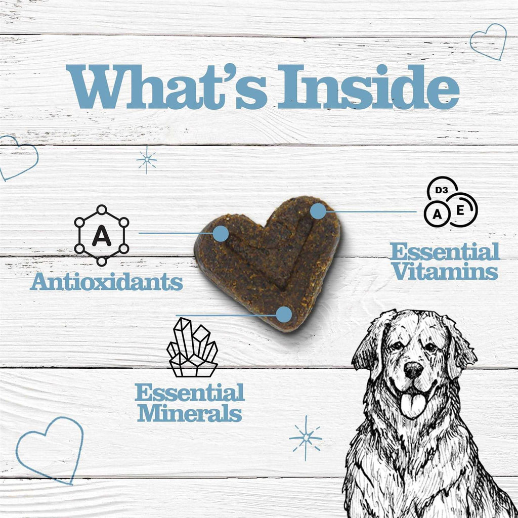 Chewable MultiVitamins for Dogs K1505