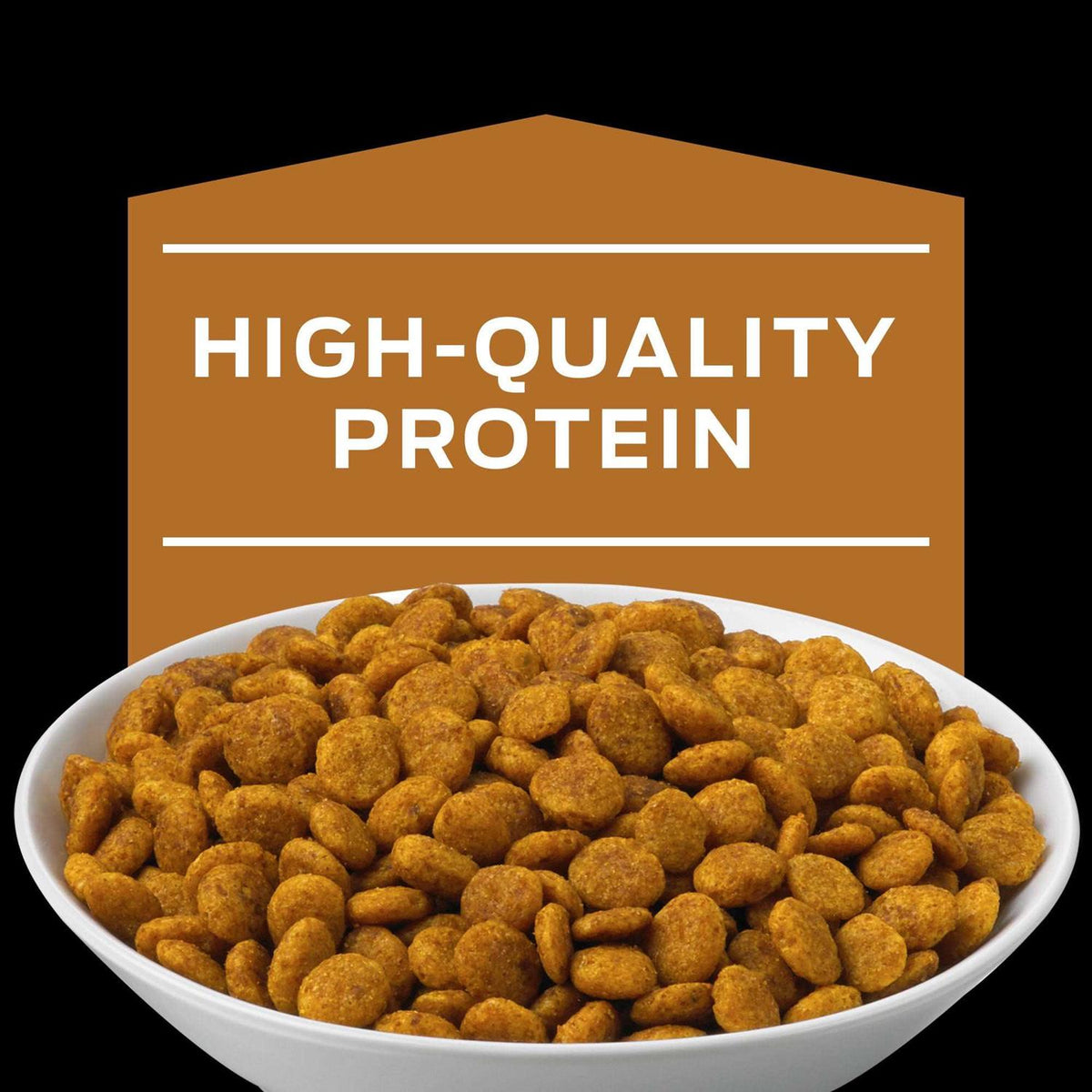 Dry Cat Food H707173