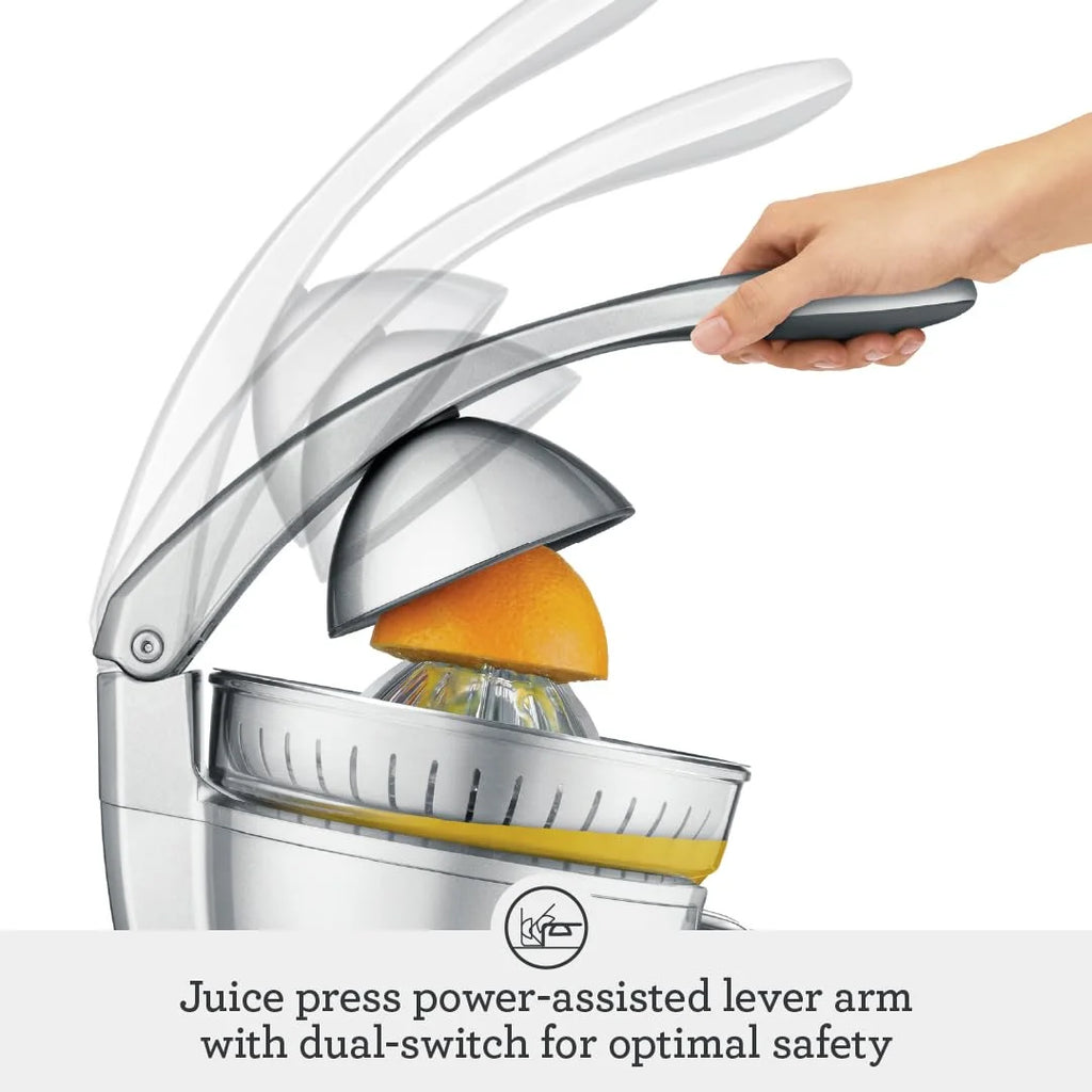 Silver Citrus Press V522371