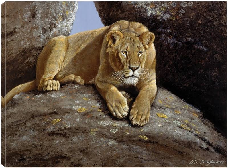 Canvas Art 32x24 A4035