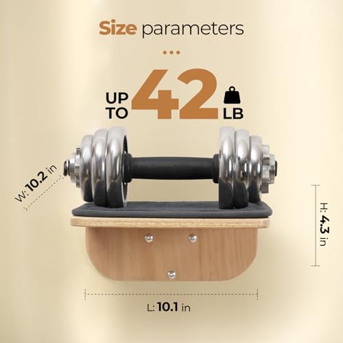 Cat Wall Shelves and Perch with Scratching Cushion S958348