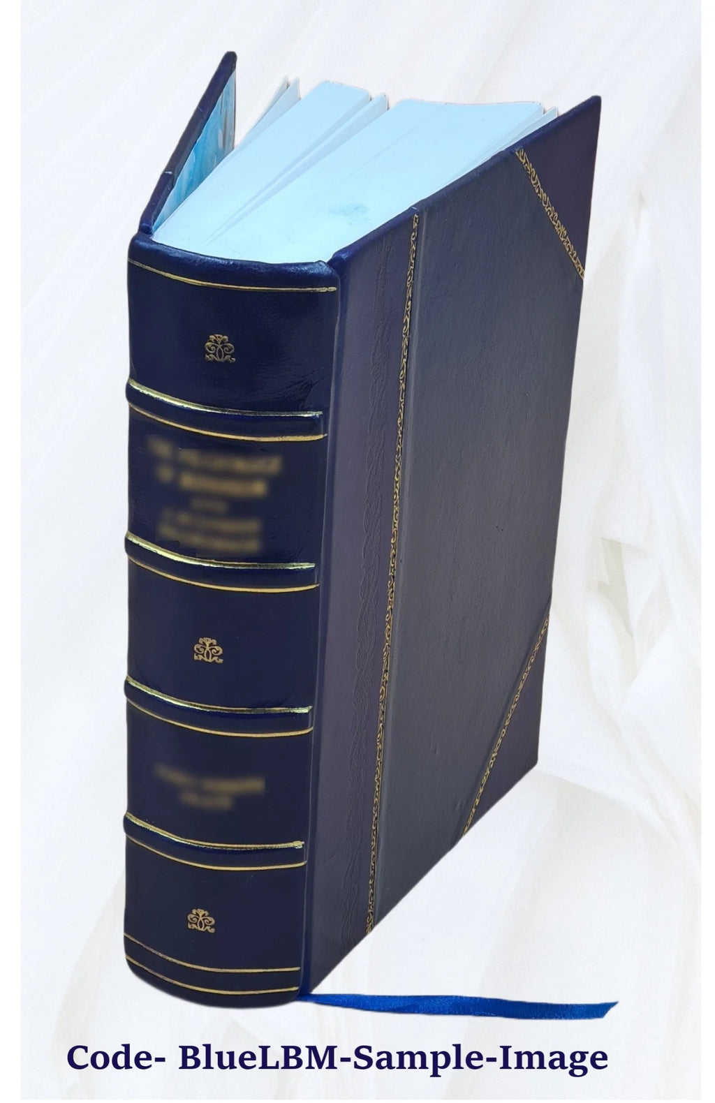 Leather Bound Book Z5596