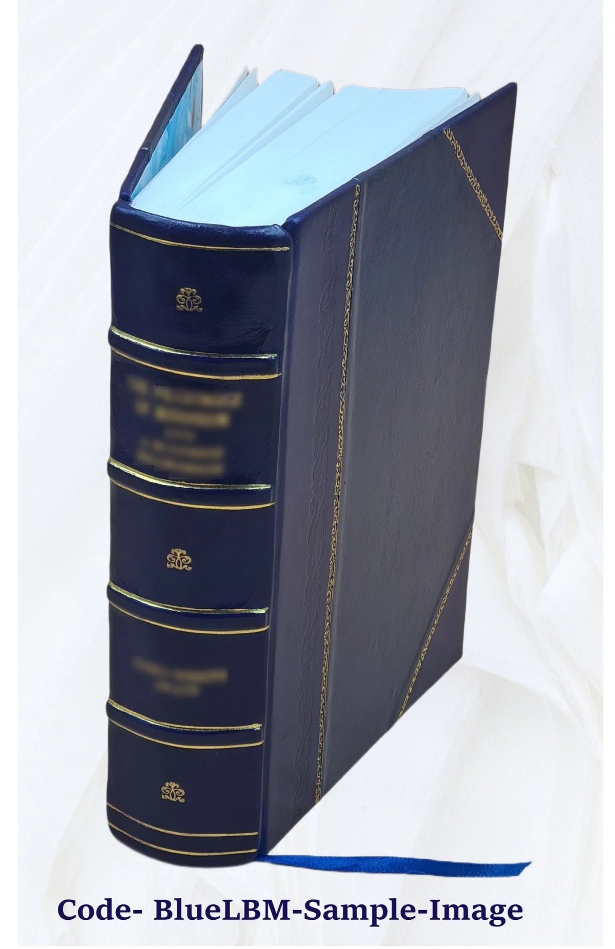 Leather Bound Book Z5596