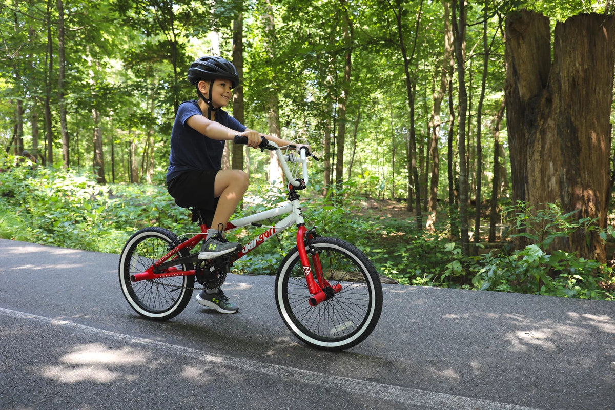 20-Inch BMX Bike U92523