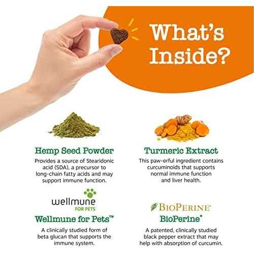 Hemp Mobility Bites for Dogs X706