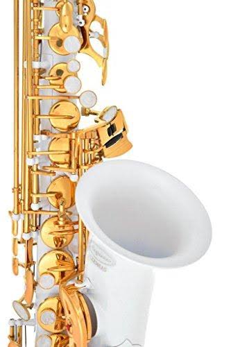 White-Gold Keys Alto Saxophone with Case M554721