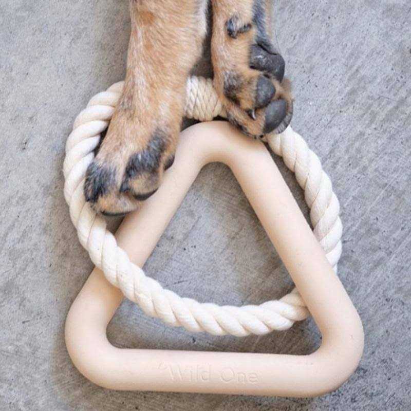 Triangle Tug Dog Toy N3456