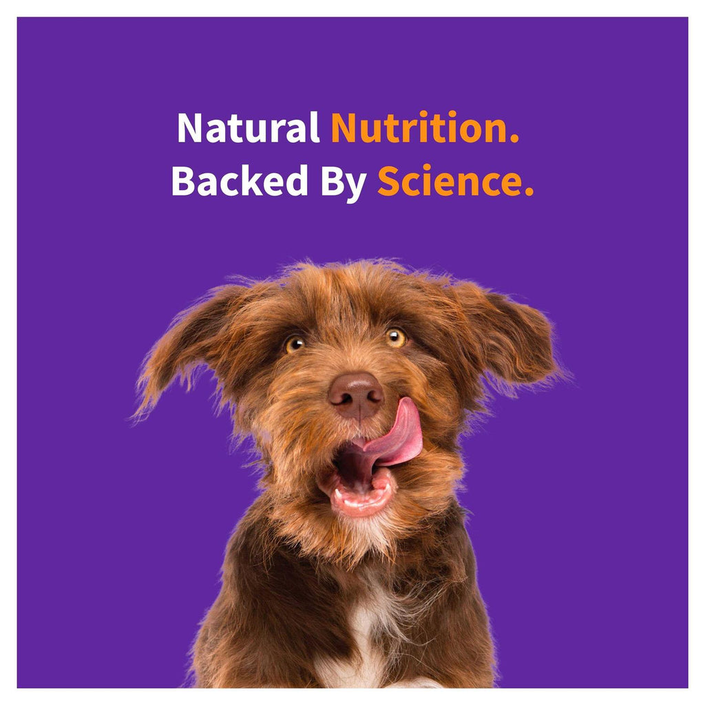 Red Meat Recipe Dry Dog Food D392568