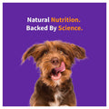 Red Meat Recipe Dry Dog Food D392568