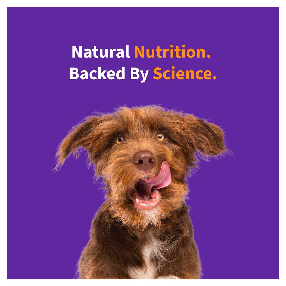 Red Meat Recipe Dry Dog Food D392568