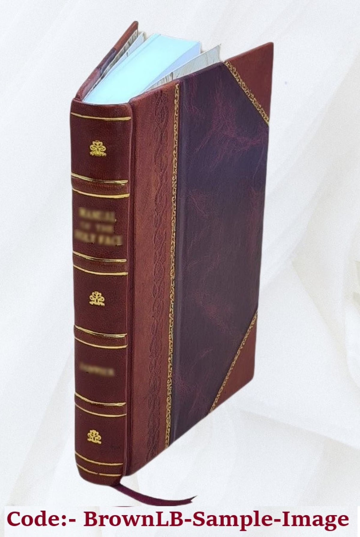 Leather Bound Book X769