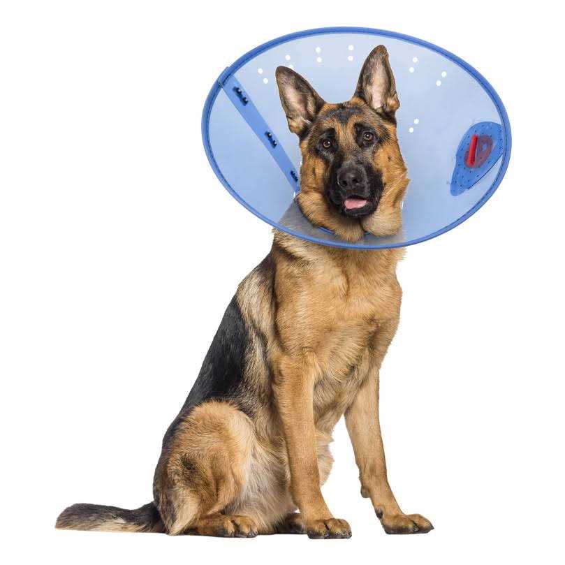 Calming Dog E-Collar X55940
