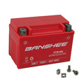 Motorsports Battery V61999