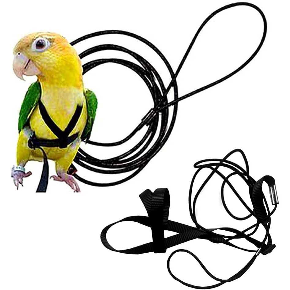 Adjustable Bird Harness and Leash L750060