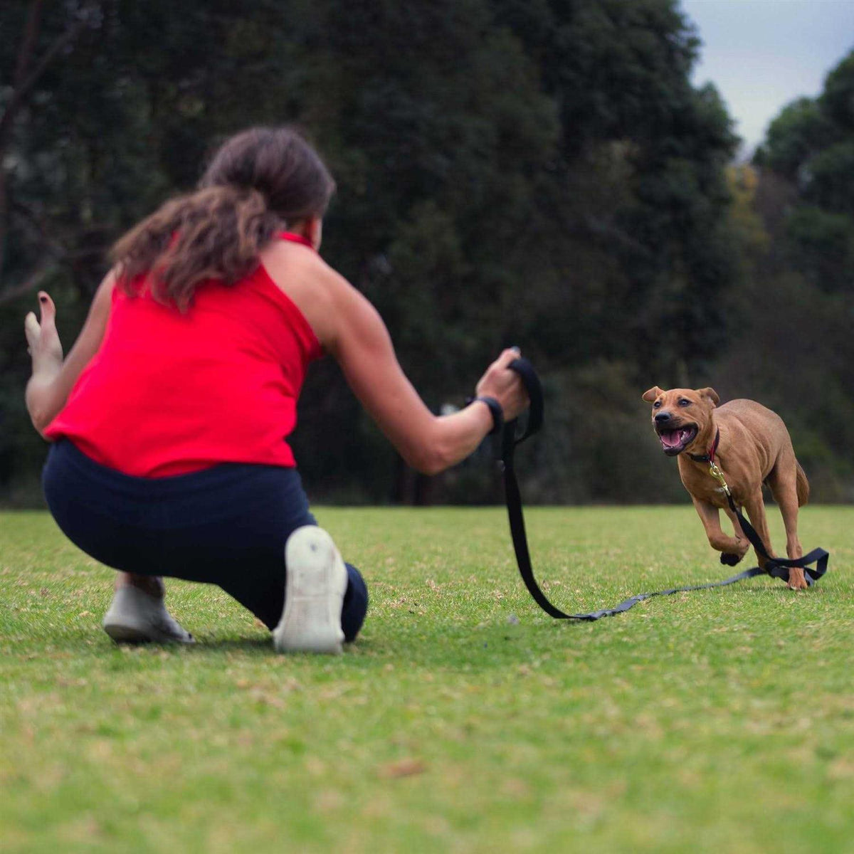 Leash T979