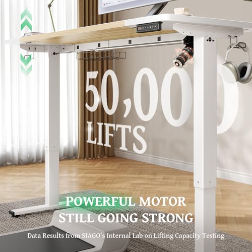 Electric Standing Desk 48 x 24 Inch with Cable Management D6762