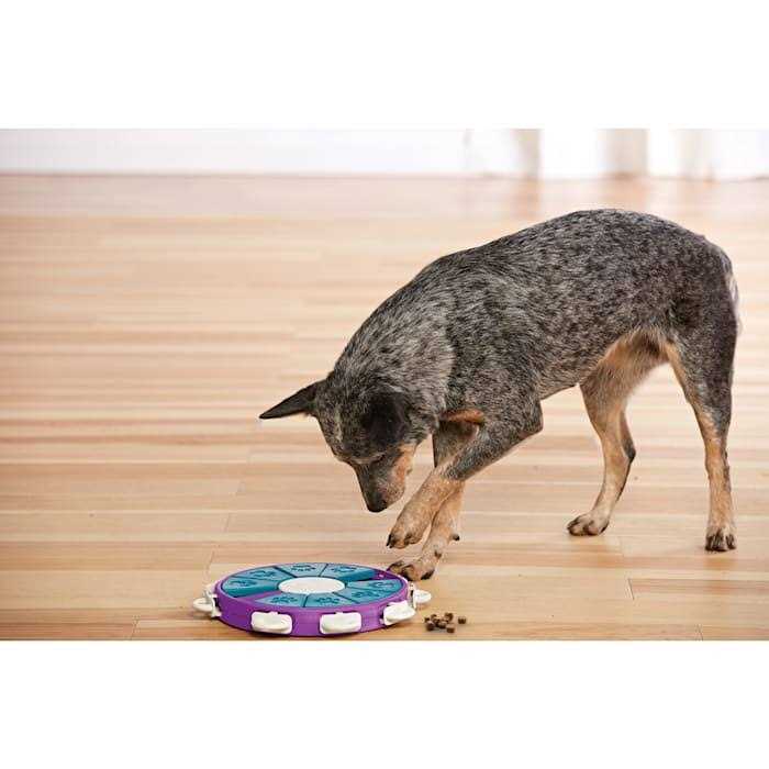 Puzzle Dog Toy R79198