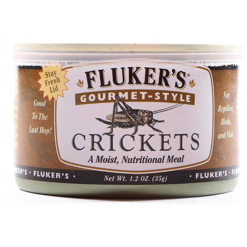 Canned Crickets I559951