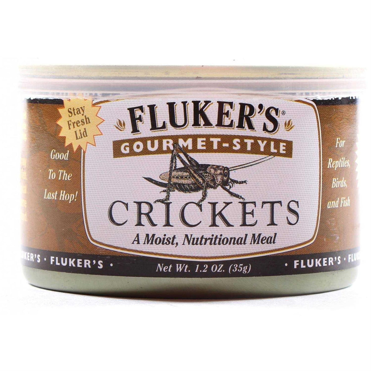 Canned Crickets I559951