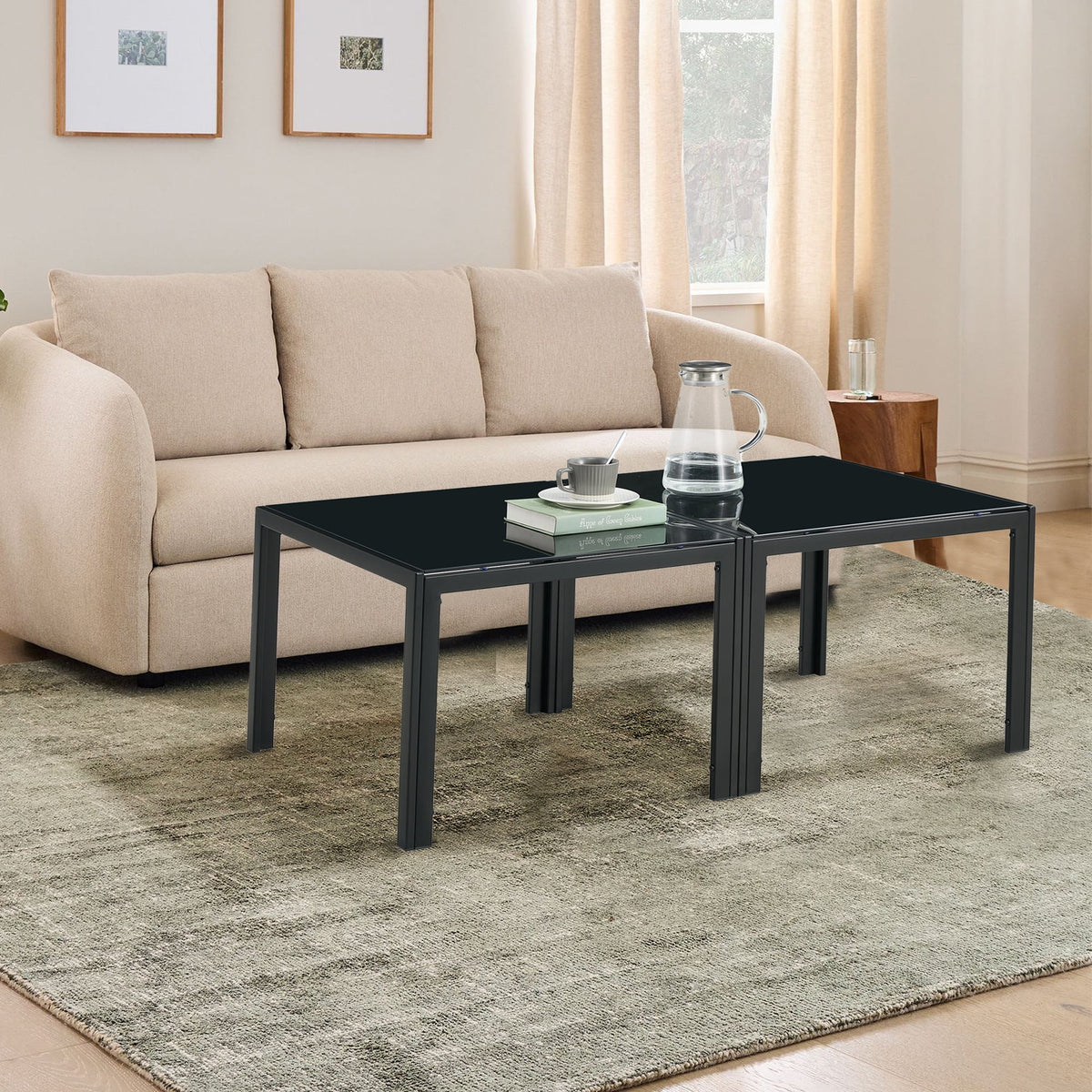 Glass Coffee Table Set of 2 Black S63676