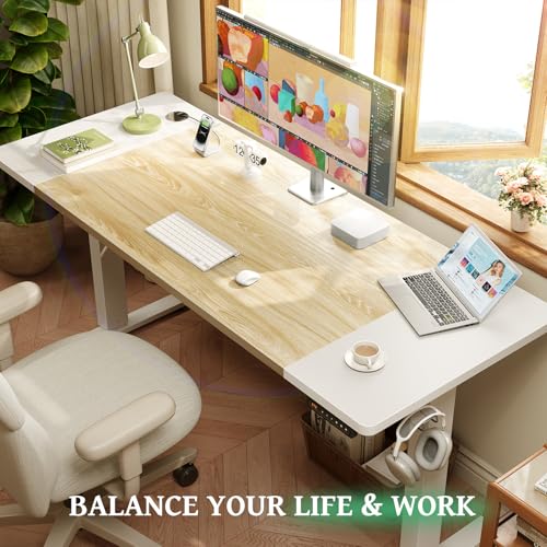 Electric Standing Desk 48 x 24 Inch with Cable Management D6762