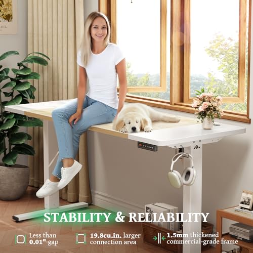 Electric Standing Desk 48 x 24 Inch with Cable Management D6762