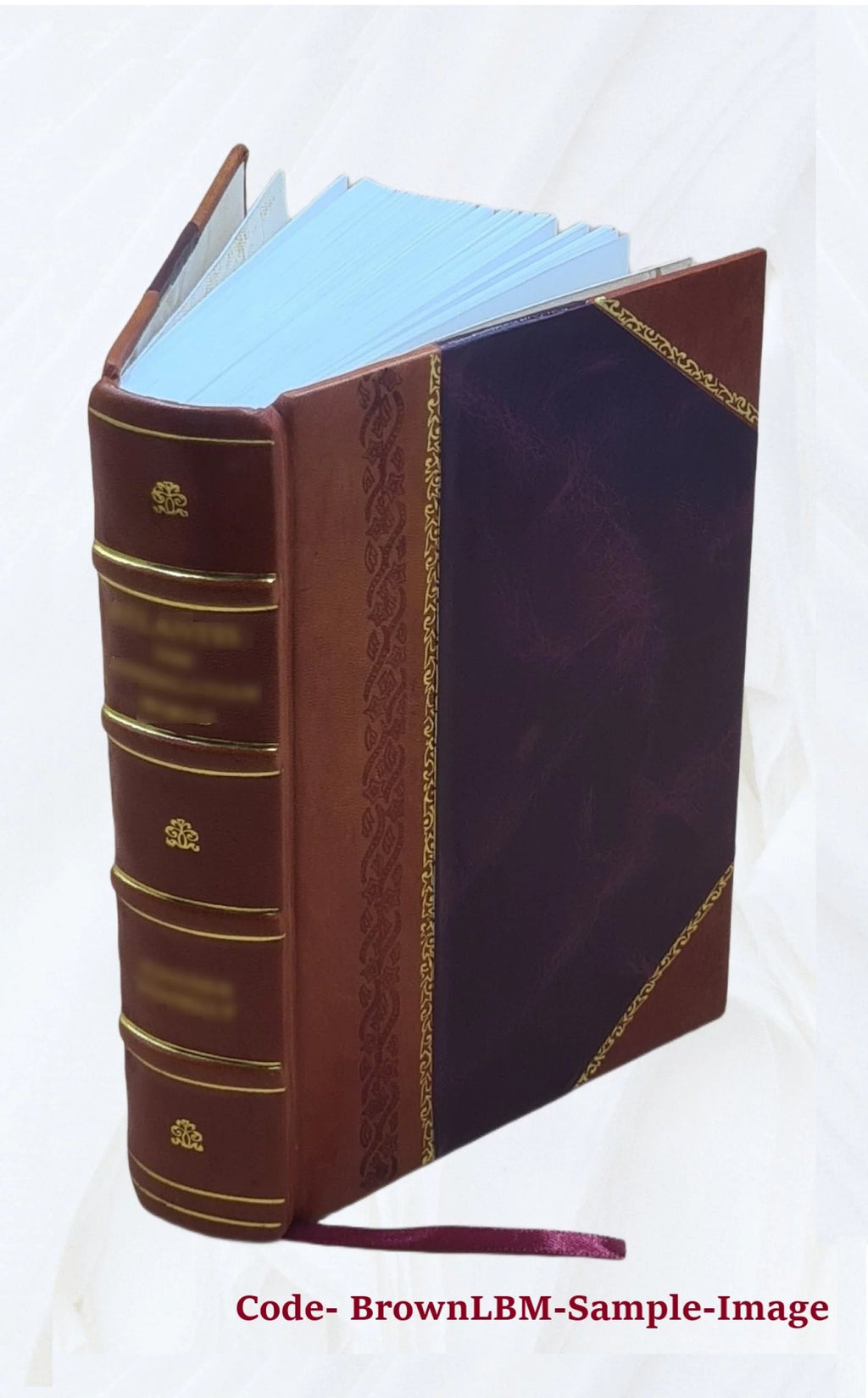 Leather Bound Book Z5596