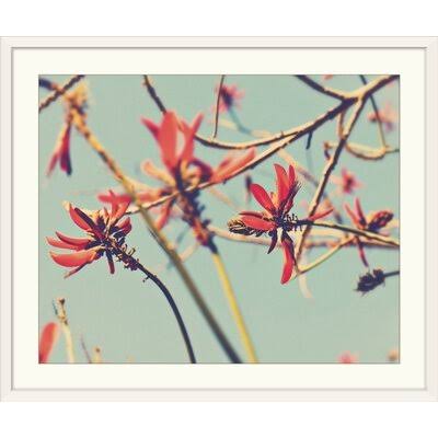 Photographic Print White Frame E201