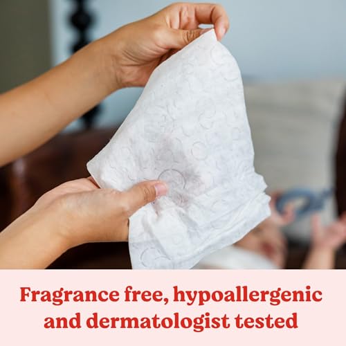 Unscented Hypoallergenic Baby Wipes, 768 Wipes Total N164