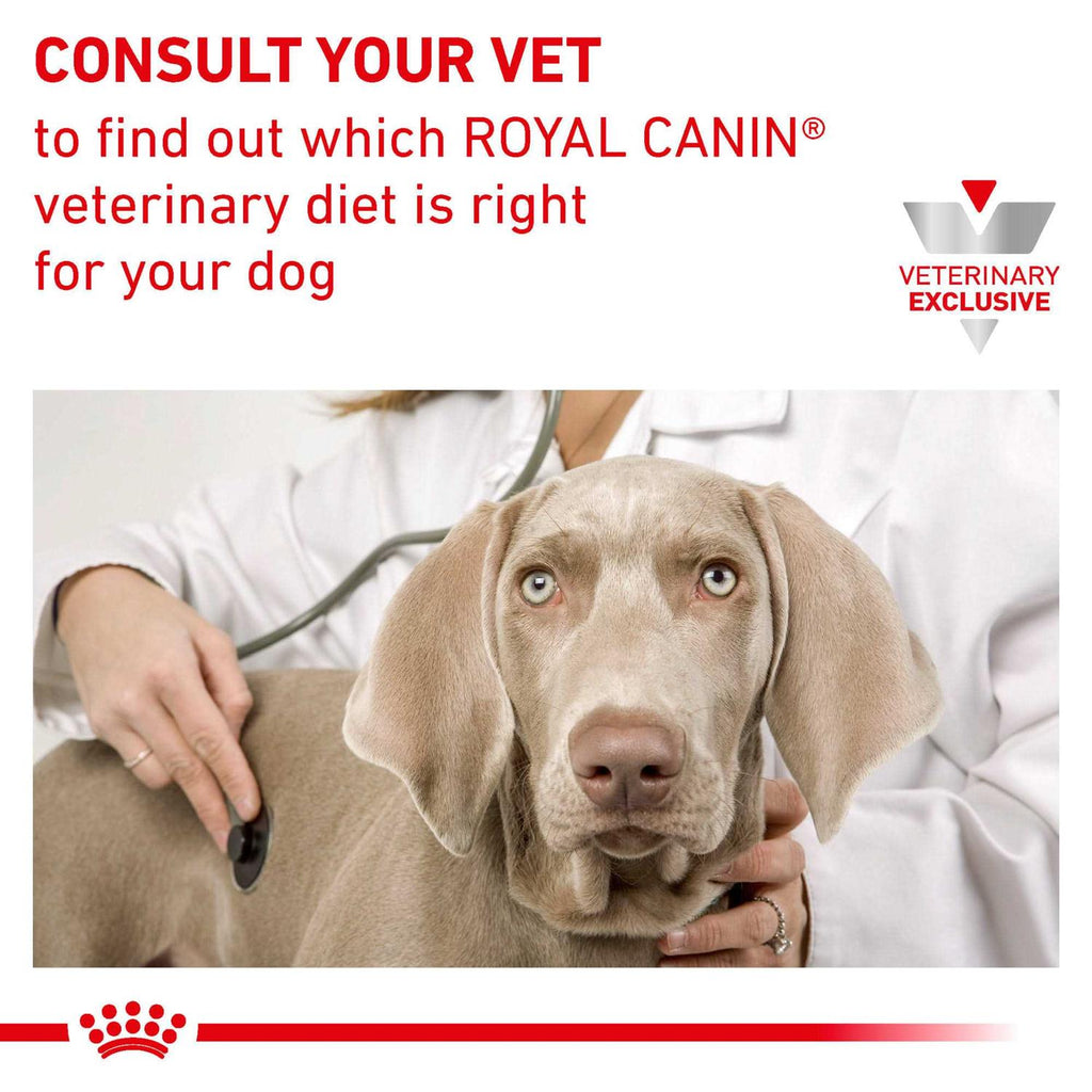 Veterinary Diet Canine Urinary So Dry Dog Food Y30593