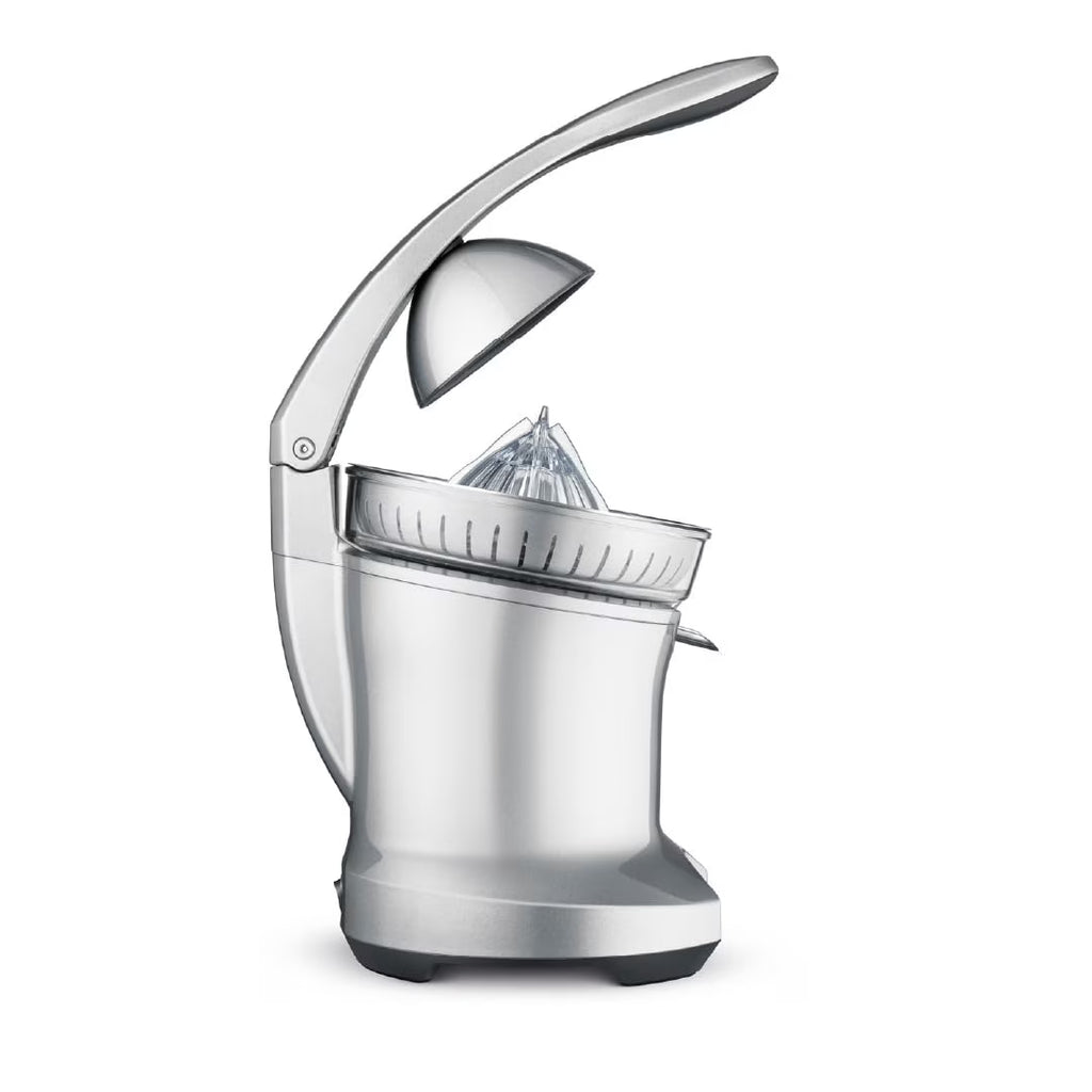 Silver Citrus Press V522371