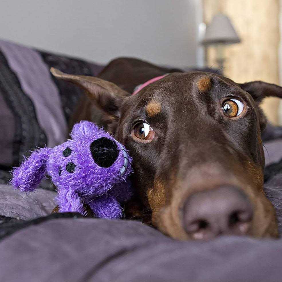 Dog Toy J771668