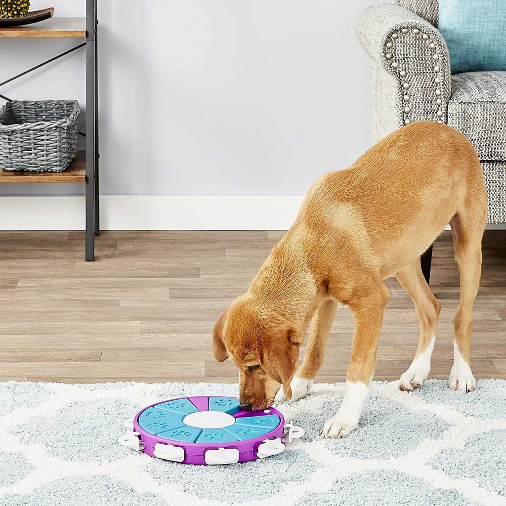 Puzzle Dog Toy R79198