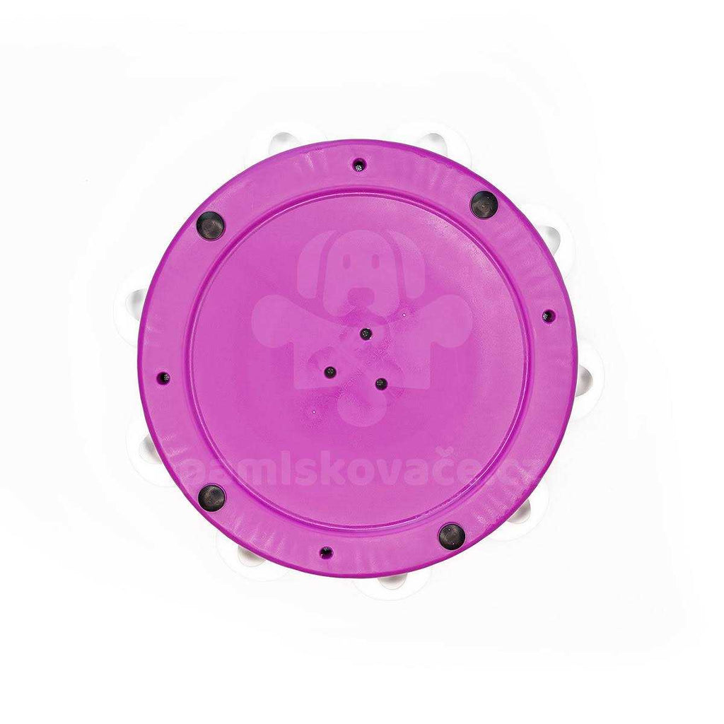 Puzzle Dog Toy R79198