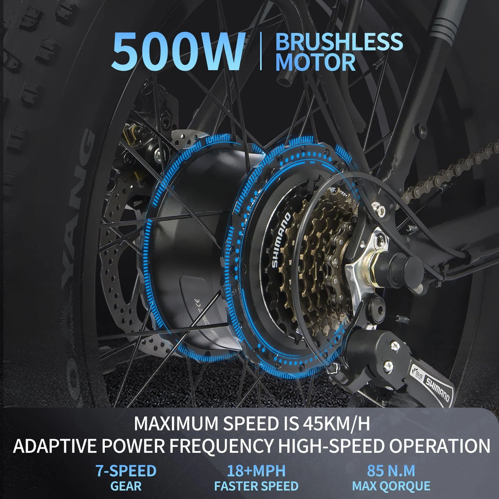 20 Fat Tire 750W 48V 14AH Foldable Electric Bike C14496