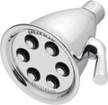 Polished Chrome Shower Head, Pack of 2 F655035