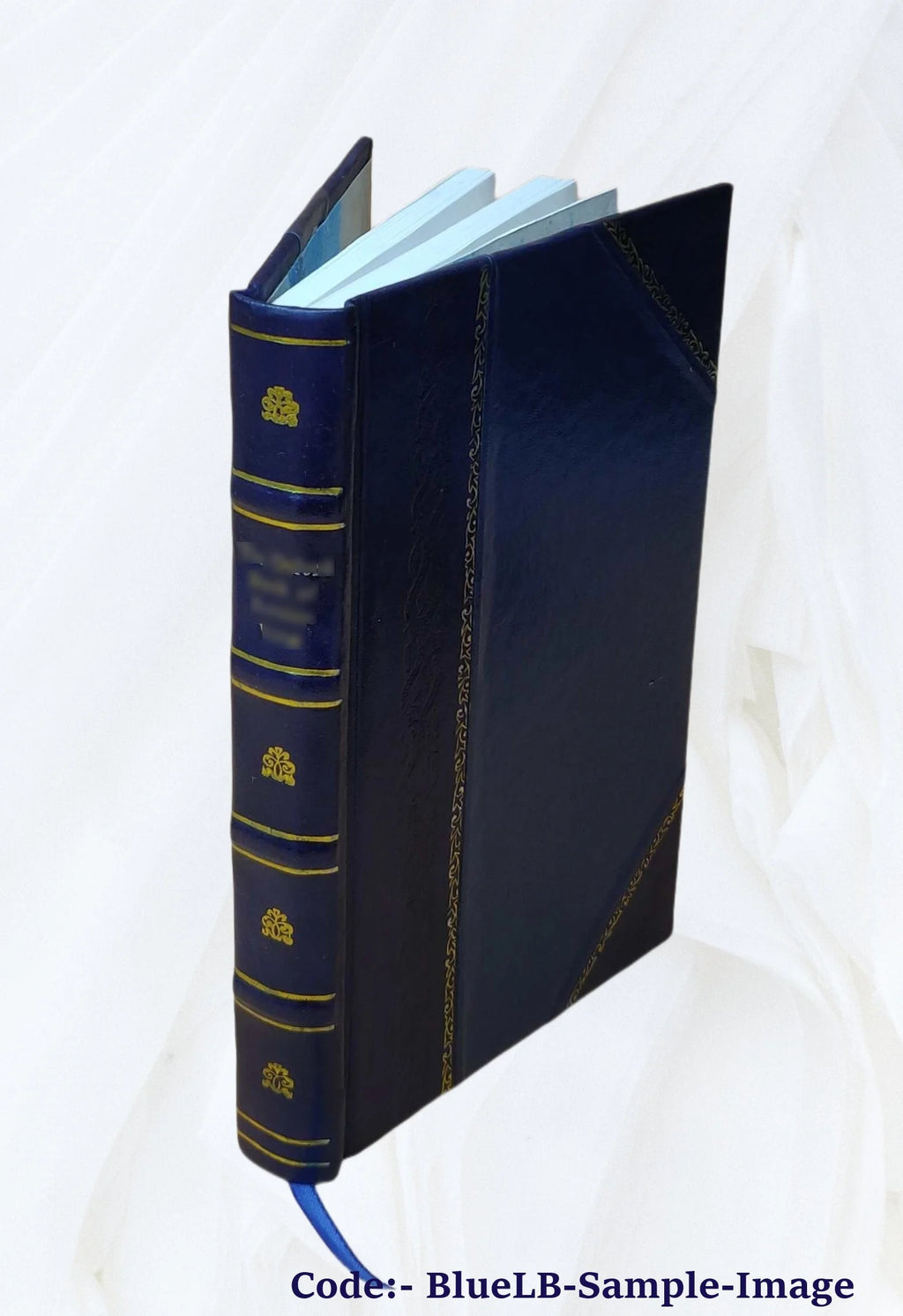 Leather Bound Book T948