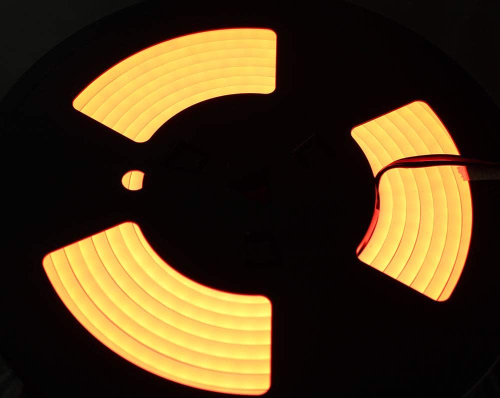 24V RGB LED Neon Strip Light Waterproof IP67, 5M/16.4ft, Pack of 2 C991